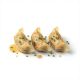 GYOZA VEGETARIANA 20gr / 6cm BOLSA 600gr (CAJA 12 BOLSAS)